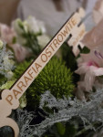 Kanoniczne wprowadzenie na urząd proboszcza parafii ks. Przemysława Pilarskiego - 5.07.2026